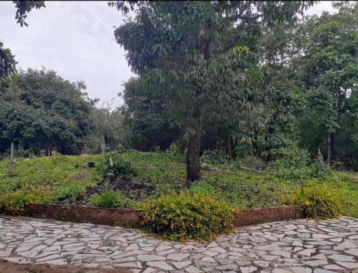 Sitio Sao Benedito ปิเรนนอโปลิส ภายนอก รูปภาพ